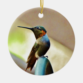 Adorno De Cerámica Ruby encaramado y colibrí verde