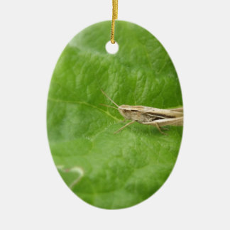 Adorno De Cerámica Saltamontes