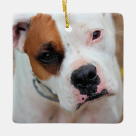 Adorno De Cerámica Salto