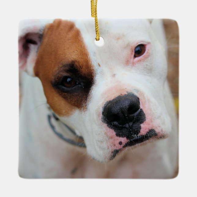 Adorno De Cerámica Salto (Anverso)