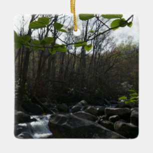 Adorno De Cerámica Saltos de primavera en el pequeño río pichón