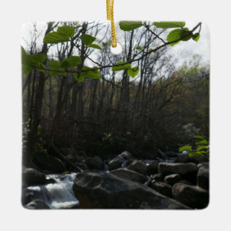 Adorno De Cerámica Saltos de primavera en el pequeño río pichón