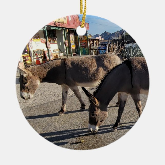 Adorno De Cerámica Salvaje Burros en Oatman, Arizona (Frente)