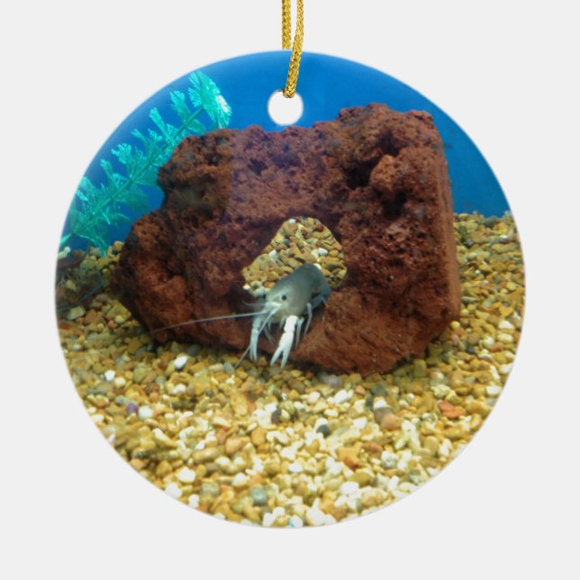 Adorno De Cerámica Sam los cangrejos azules de la langosta (Frente)