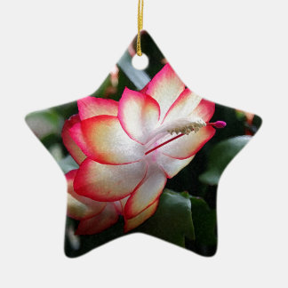 Adorno De Cerámica Samba Brazil del cactus de navidad '