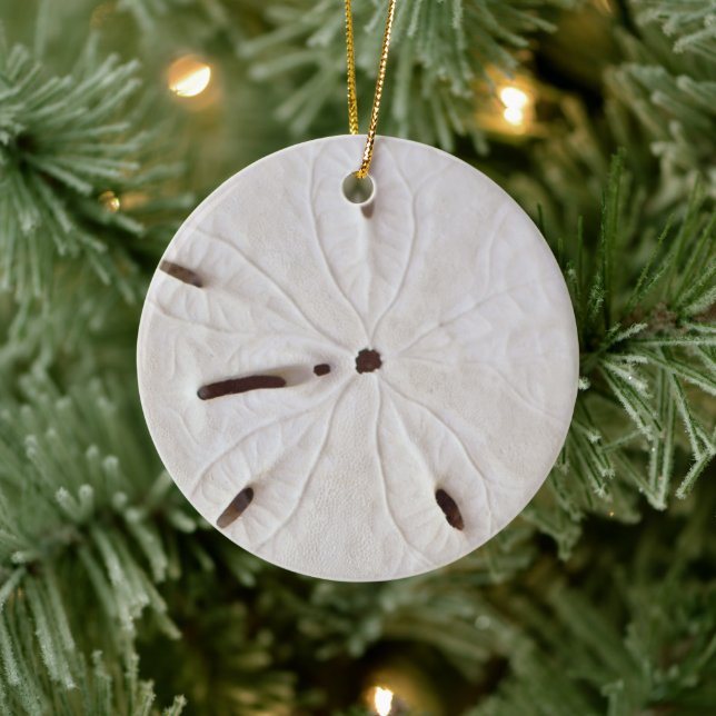 Adorno De Cerámica Sand Dollar Beach Coastal White Round Trendy 2020 (Árbol)
