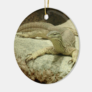 Adorno De Cerámica Sand goanna