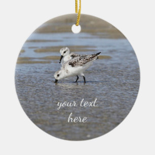 Adorno De Cerámica Sanderlings