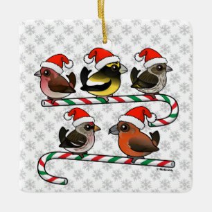 Adorno De Cerámica Santa Finches