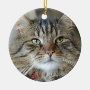 Adorno De Cerámica Sauce el gato