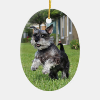 Adorno De Cerámica Schnauzer, alegría