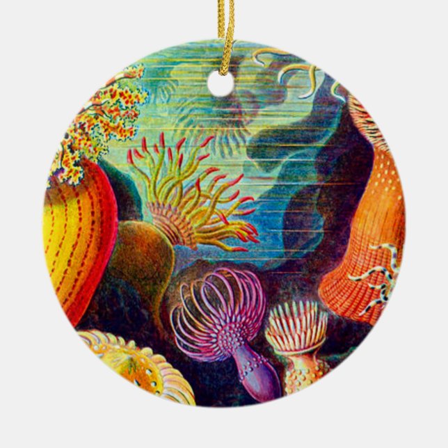 Adorno De Cerámica Sea Anemone - Ernst Haeckel (Frente)