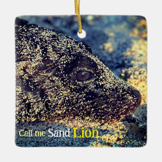 Adorno De Cerámica Sea Lion Beach (Anverso)