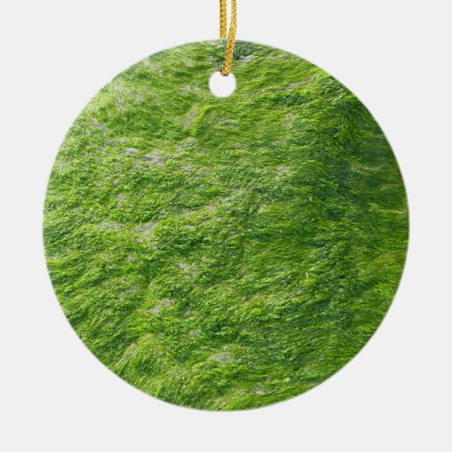 Adorno De Cerámica Sea Moss Green Nature Grass Beach Nautical (Frente)