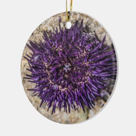 Adorno De Cerámica Sea Urchin Ocean Beach Holiday Summer Souvenir