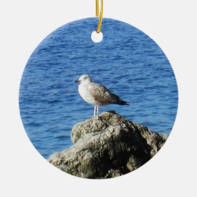 Adorno De Cerámica Seagull (Frente)