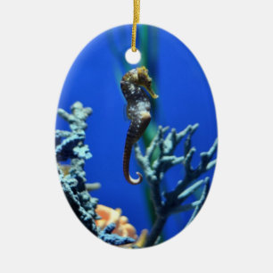 Adorno De Cerámica Seahorse mágico