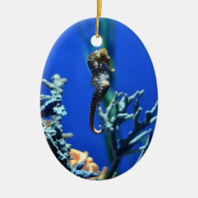 Adorno De Cerámica Seahorse mágico (Frente)