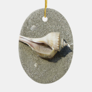 Adorno De Cerámica Seashell