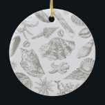 Adorno De Cerámica Seashell Soft Antique Art Beach Shells<br><div class="desc">Beach Seashell Classic Elegant Shell Art - Un tema de la playa con obras de arte de conchas antiguas.</div>