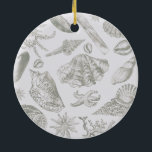 Adorno De Cerámica Seashell Soft Antique Art Beach Shells<br><div class="desc">Beach Seashell Classic Elegant Shell Art - Un tema de la playa con obras de arte de conchas antiguas.</div>