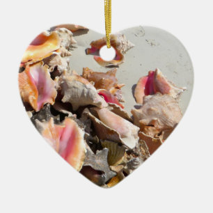 Adorno De Cerámica Seashells en los turcos de la playa el   y la foto