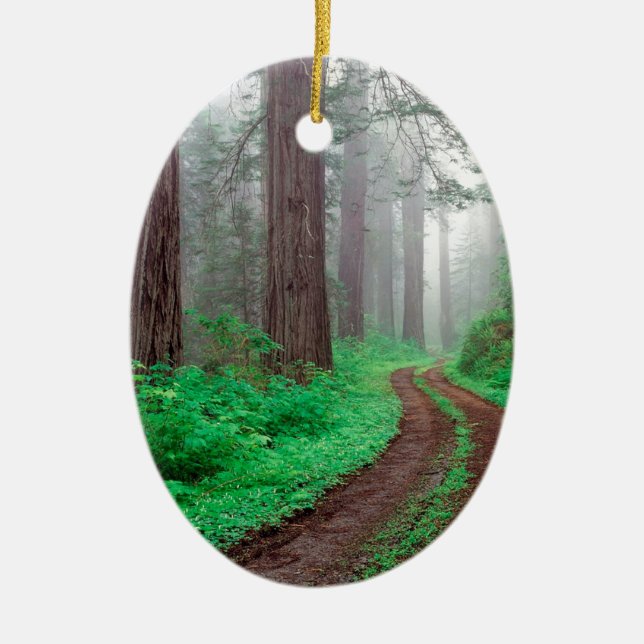 Adorno De Cerámica Secoya California del árbol (Frente)
