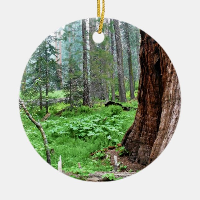 Adorno De Cerámica Secuoyas gigantes en Grant Grove, CA (Frente)