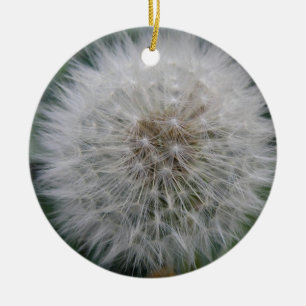 Adorno De Cerámica Seeding Dandelion Flower Personalizado Cumpleaños