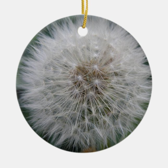 Adorno De Cerámica Seeding Dandelion Flower Personalizado Cumpleaños (Frente)