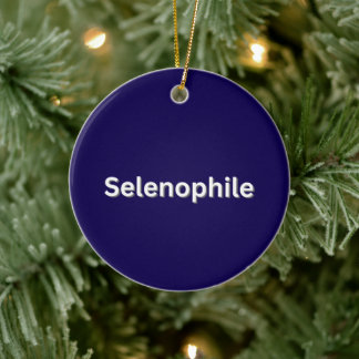 Adorno De Cerámica Selenophile Moon Lover