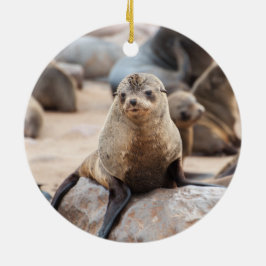 Adorno De Cerámica Sello de bebé en la roca