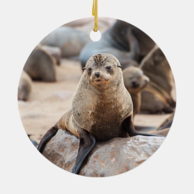 Adorno De Cerámica Sello de bebé en la roca (Atrás)