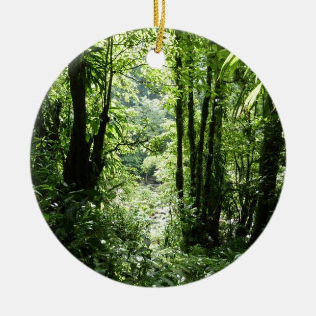 Adorno De Cerámica Selva tropical II dominicana de lluvia verde tropi (Frente)