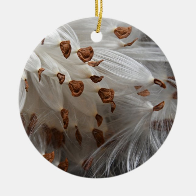 Adorno De Cerámica Semillas de leche Exoduo Monarca Mariposa Alimento (Frente)