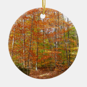 Adorno De Cerámica Sendero de otoño con luz solar moteada en Laurel H