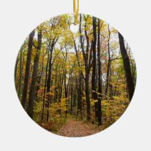 Adorno De Cerámica Sendero de otoño y hojas doradas en Laurel Hill Pa