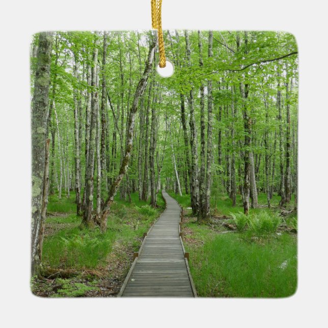 Adorno De Cerámica Sendero Jesup Path Boardwalk (Anverso)