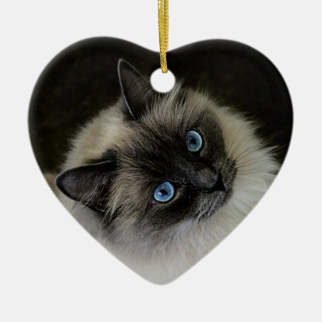 Adorno De Cerámica Señora del ` de M (Frente)