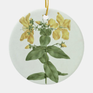 Adorno De Cerámica Sensación-Búsqueda (quartinianum del Hypericum)