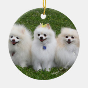 Adorno De Cerámica Sentada de 3 Pomeranians