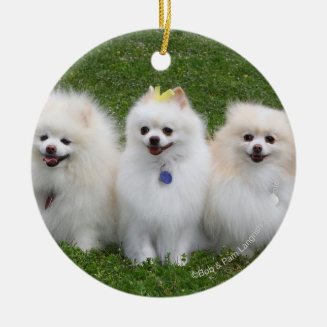 Adorno De Cerámica Sentada de 3 Pomeranians (Frente)