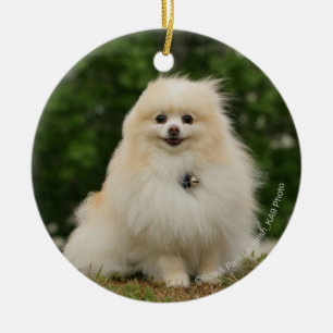 Adorno De Cerámica Sentada de Pomeraning