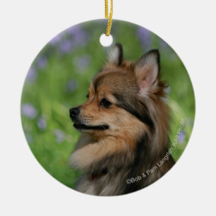 Adorno De Cerámica Sentada del Headshot de Pomeranian