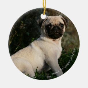 Adorno De Cerámica Sentada del perrito del barro amasado del