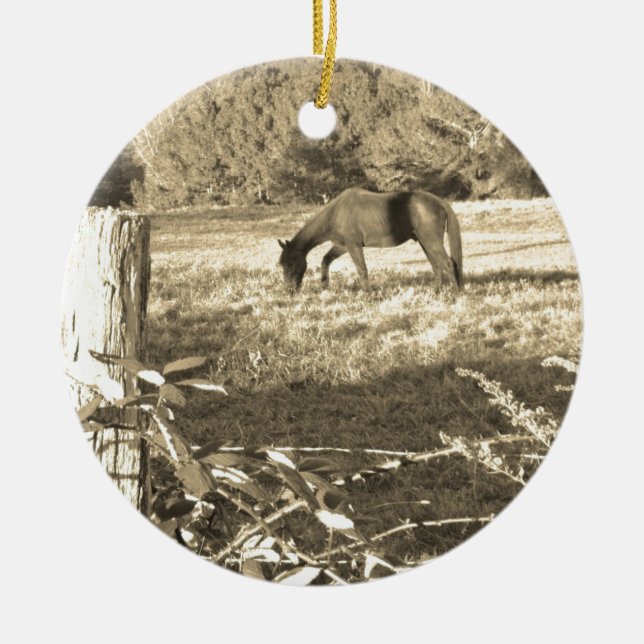 Adorno De Cerámica Sepia tono Caballo marrón y cerca (Frente)