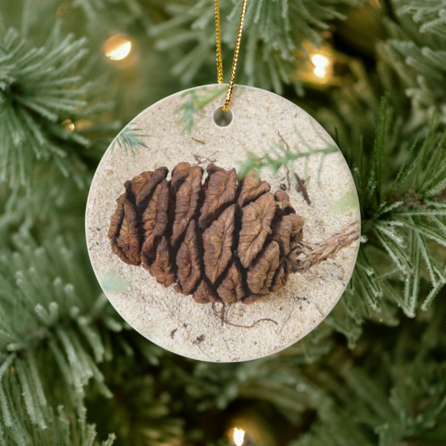 Adorno De Cerámica Sequoia Tree Cone, Giant Redwood Ornament (Árbol)