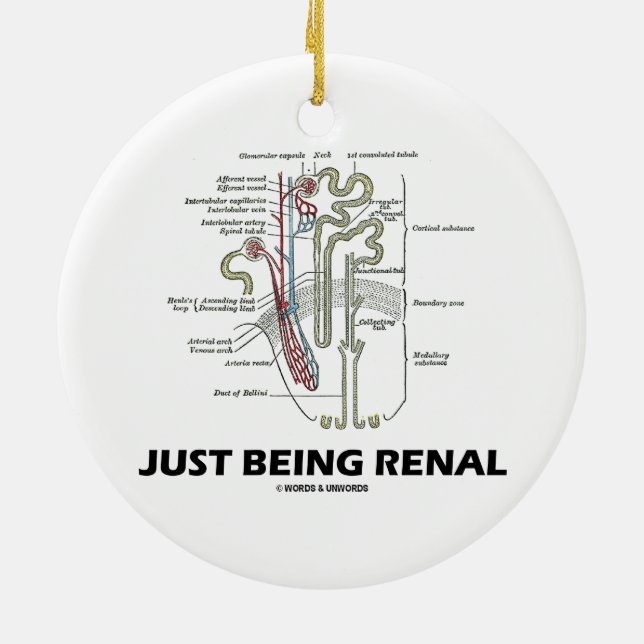 Adorno De Cerámica Ser Renal (Humor Renal Nefro Riñón) (Atrás)