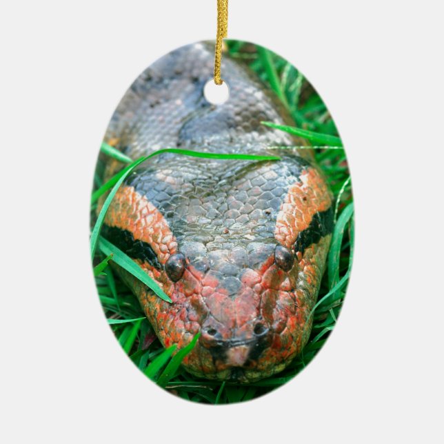 Adorno De Cerámica Serpiente de Anaconda (Frente)