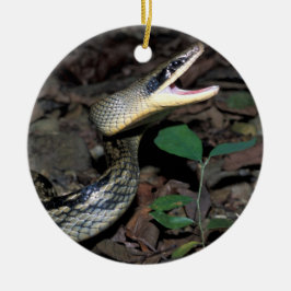 Adorno De Cerámica Serpiente de rata de la belleza
